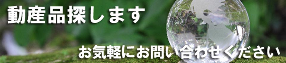 開業支援