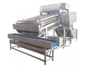 脱皮機・脱殻機