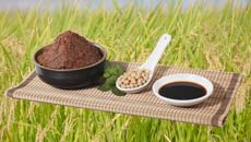 【 調味料製造業 】